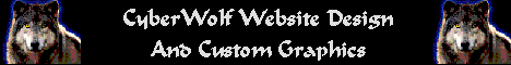 CyberWolf Website Design & Custom Graphics