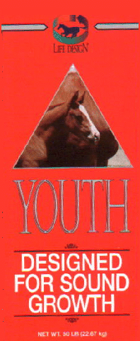 Youth